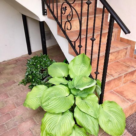 Apartmany U Vavrince Susice Bagian luar foto