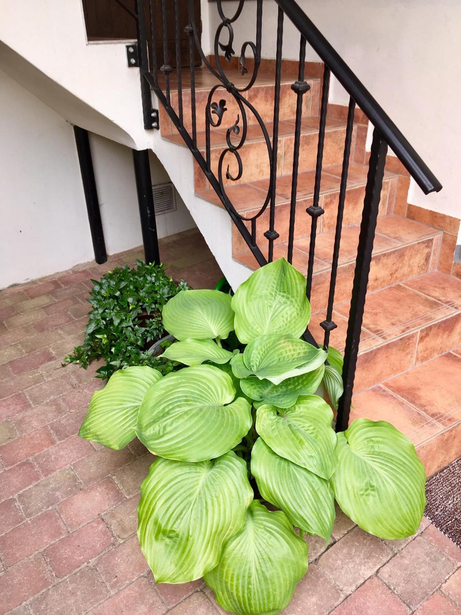 Apartmany U Vavrince Susice Bagian luar foto