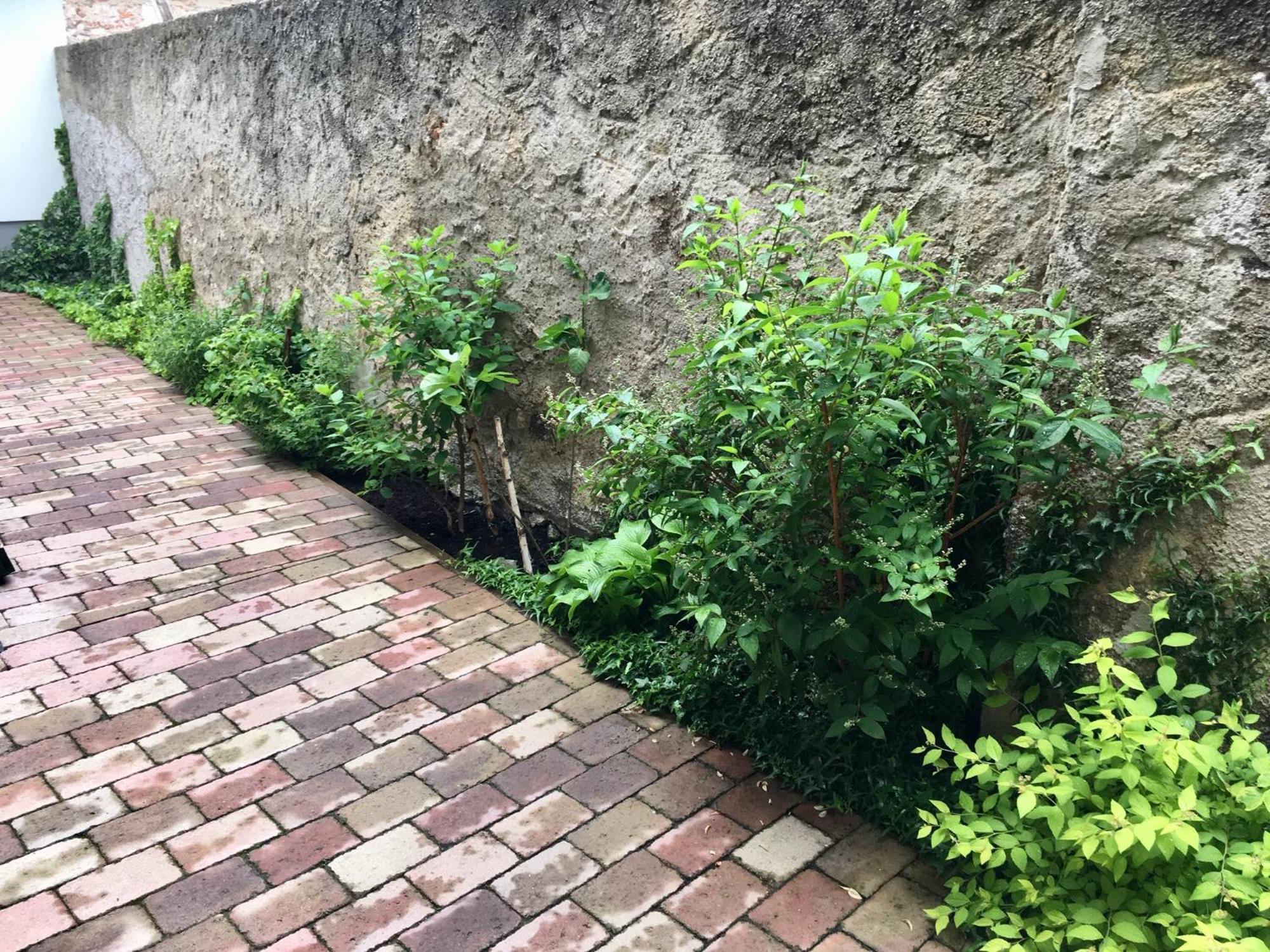 Apartmany U Vavrince Susice Bagian luar foto