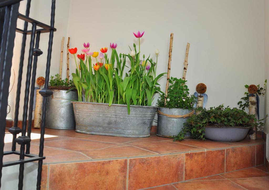 Apartmany U Vavrince Susice Bagian luar foto