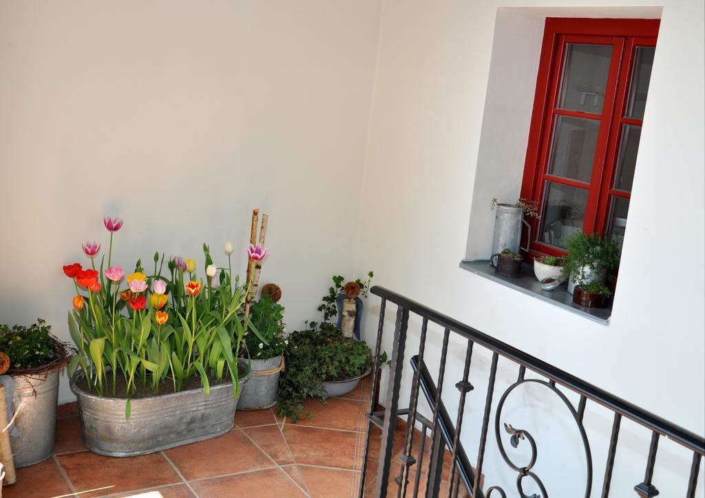 Apartmany U Vavrince Susice Bagian luar foto